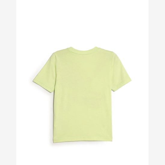 Camiseta infantil jacaré - verde | Carter's
