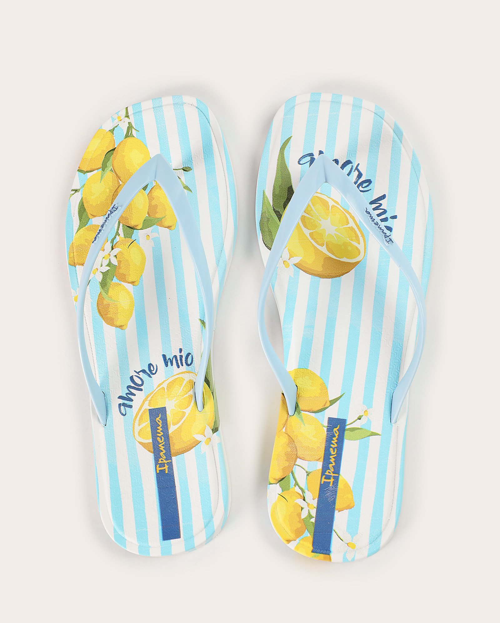 Chinelo feminino Ipanema limão - multicor | Ipanema