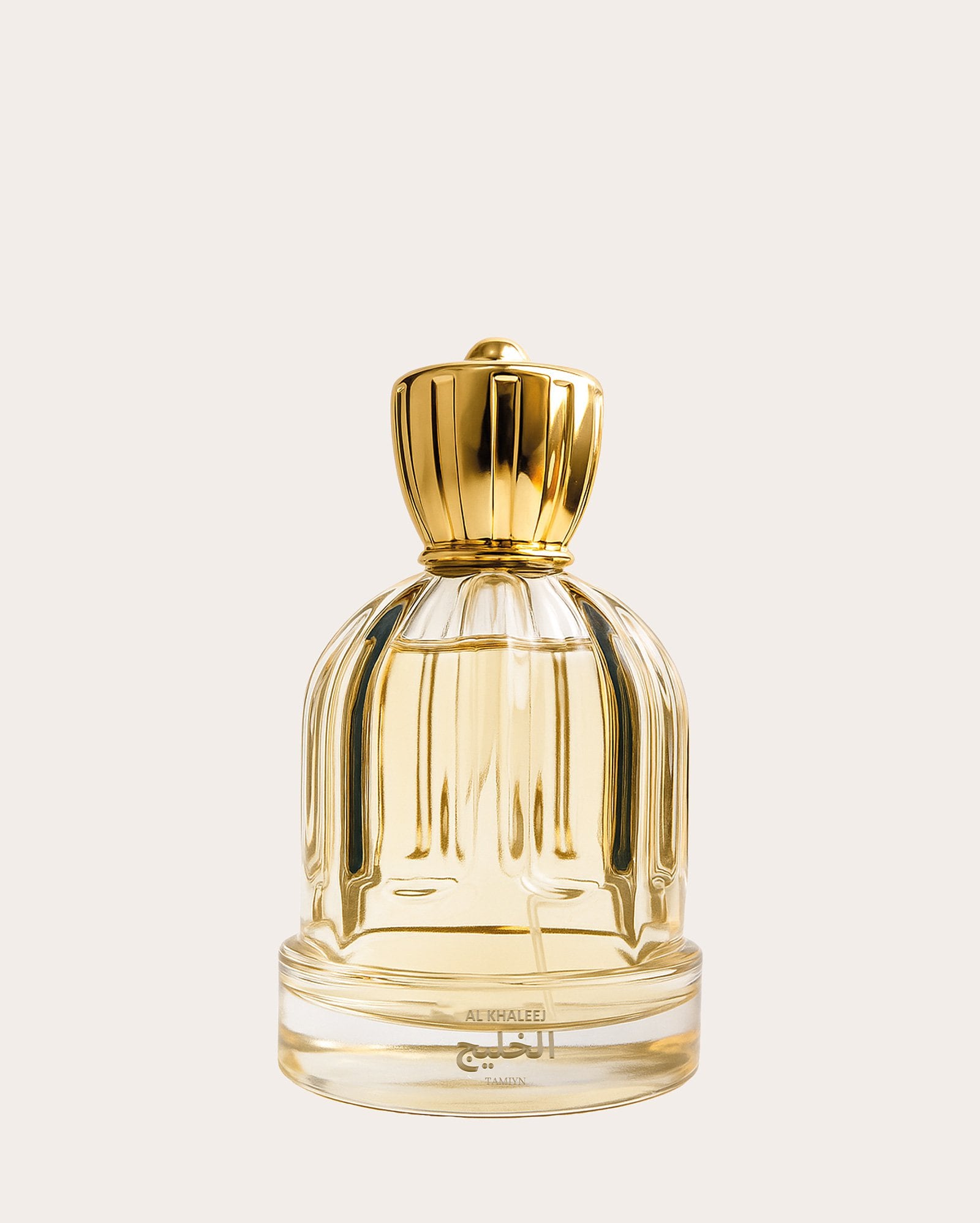 Perfume feminino Tamiyn EDP 100ml | Al Khaleej