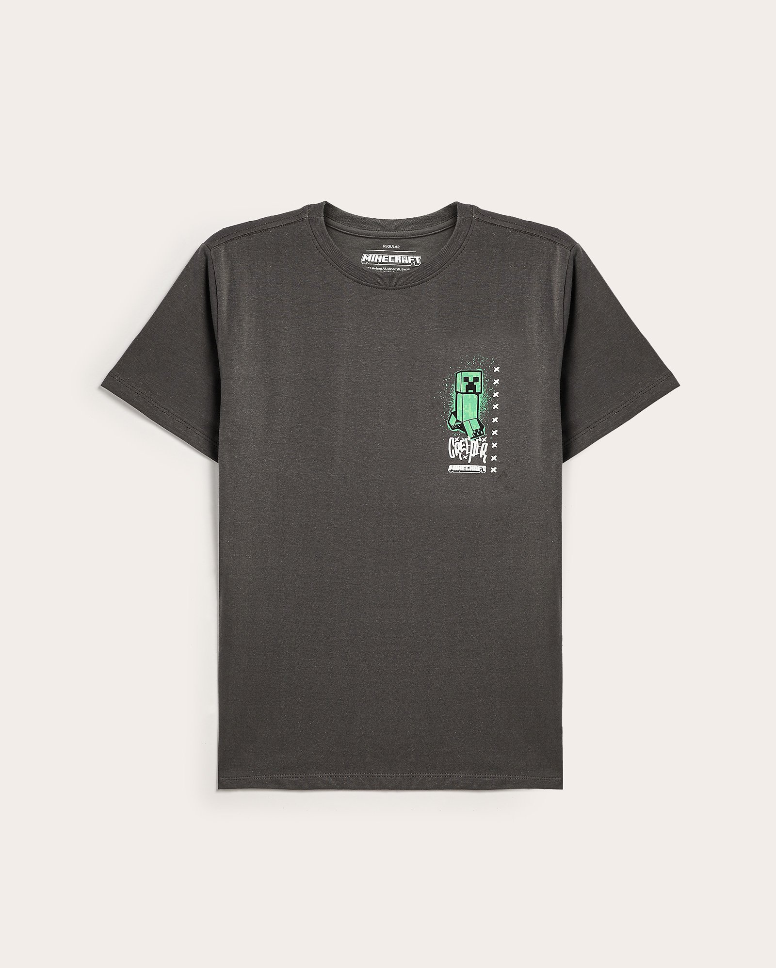 Camiseta regular infantil menino Minecraft 6-14A - Cinza Escuro