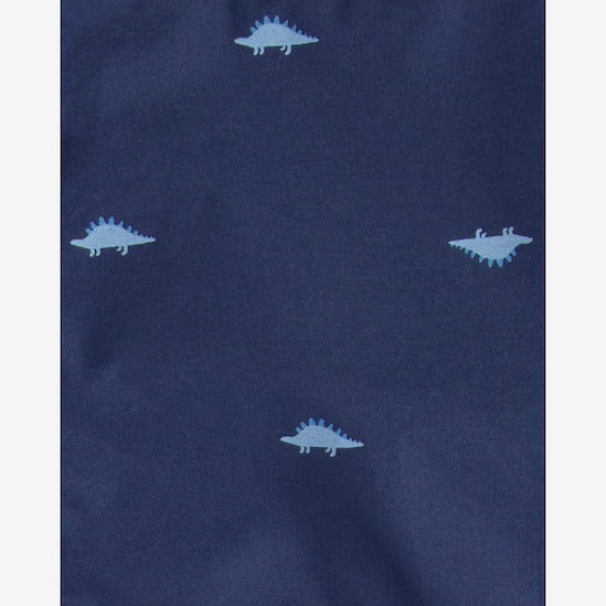 Conjunto curto infantil 2 peças dinossauro - multicor | Carter's