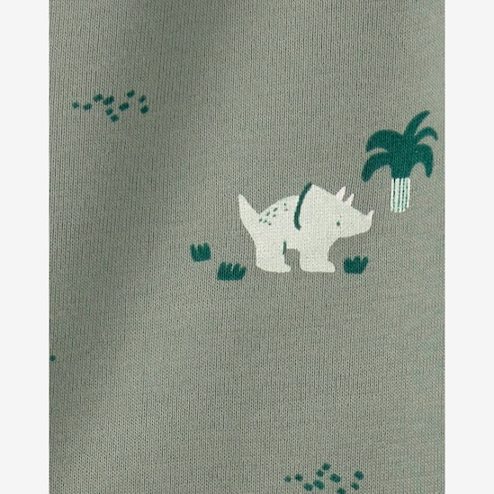 Conjunto bebê 3 peças dinossauro - verde | Carter’s