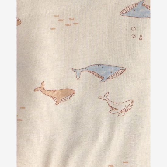 Conjunto longo bebê 4 peças estampado - Multicor | Carter's