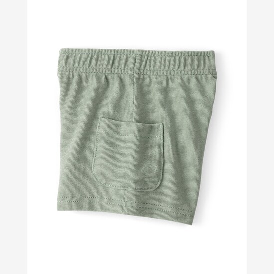 Conjunto curto infantil 2 peças texturizado e bordado - Verde | Carter's