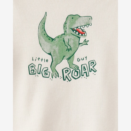 Conjunto longo bebê 3 peças dino + caixa de presente M - multicor | Carter's