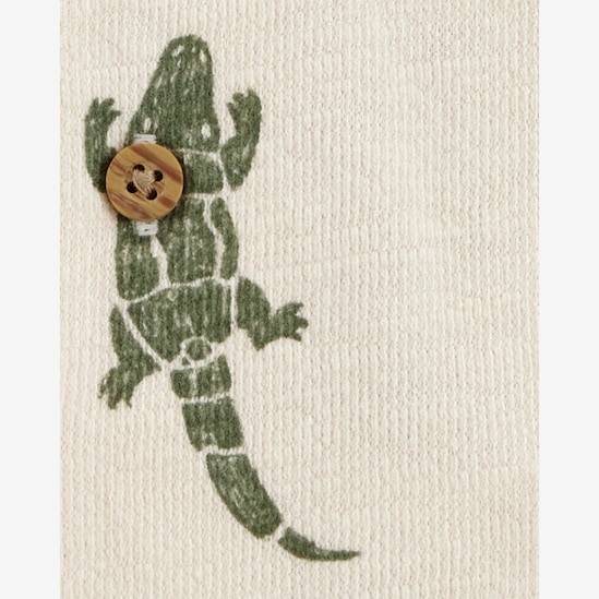 Kit camiseta + camisa infantil jacaré - multicor | Carter's