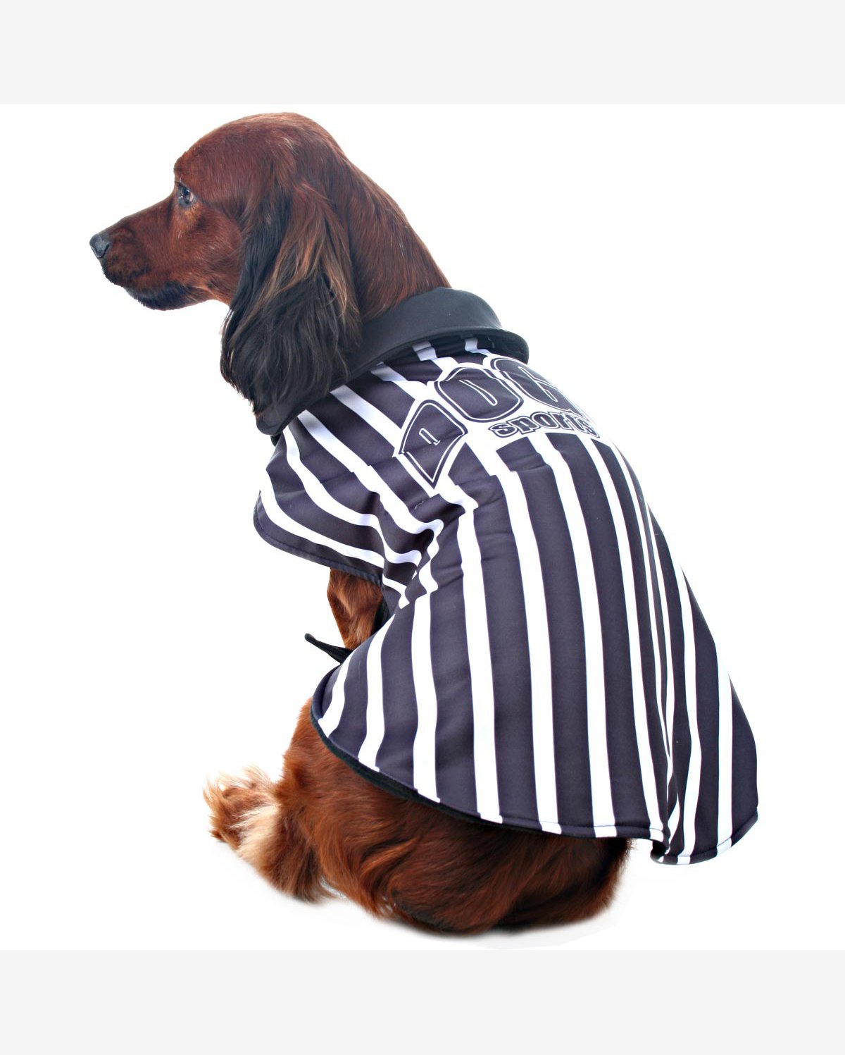 Colete para Cachorros Alvi Negro