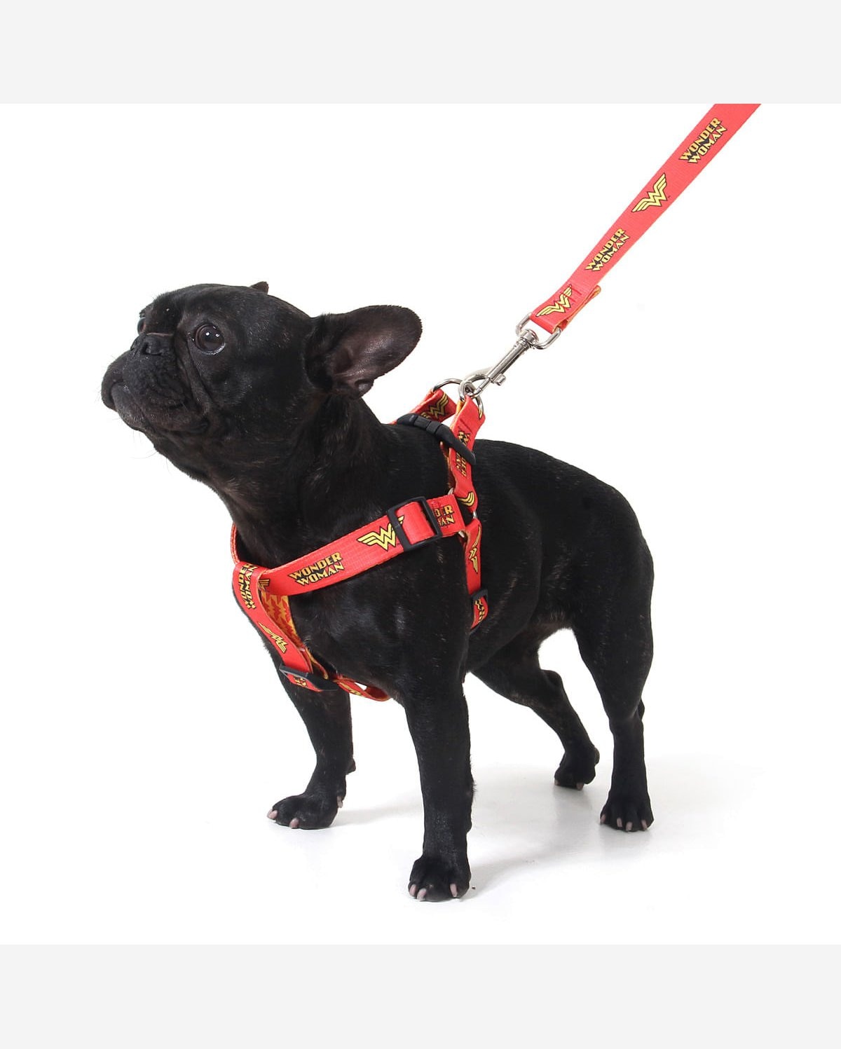 Peitoral para Cachorros Mulher Maravilha
