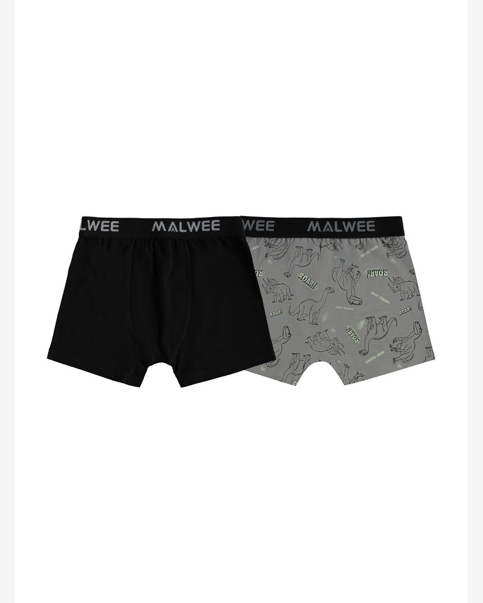 Kit com 2 Cuecas Infantil Boxer Malwee 1000126756