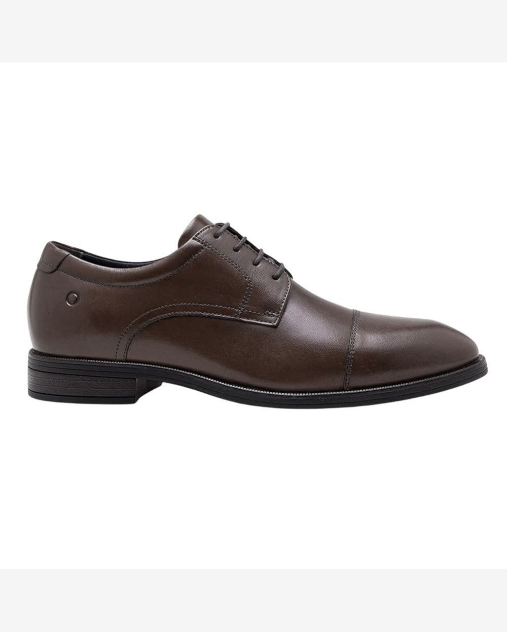 Sapato Democrata Duke Masculino