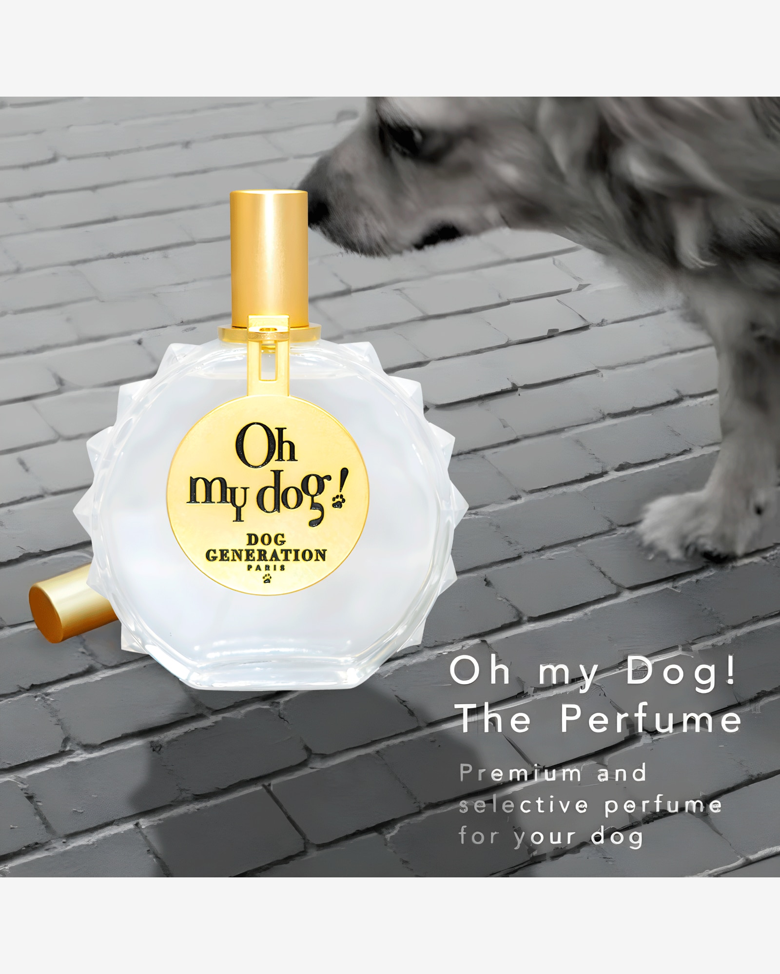 Riachuelo Dog Generation Oh My Dog For Dog Eau de Toilette Perfume