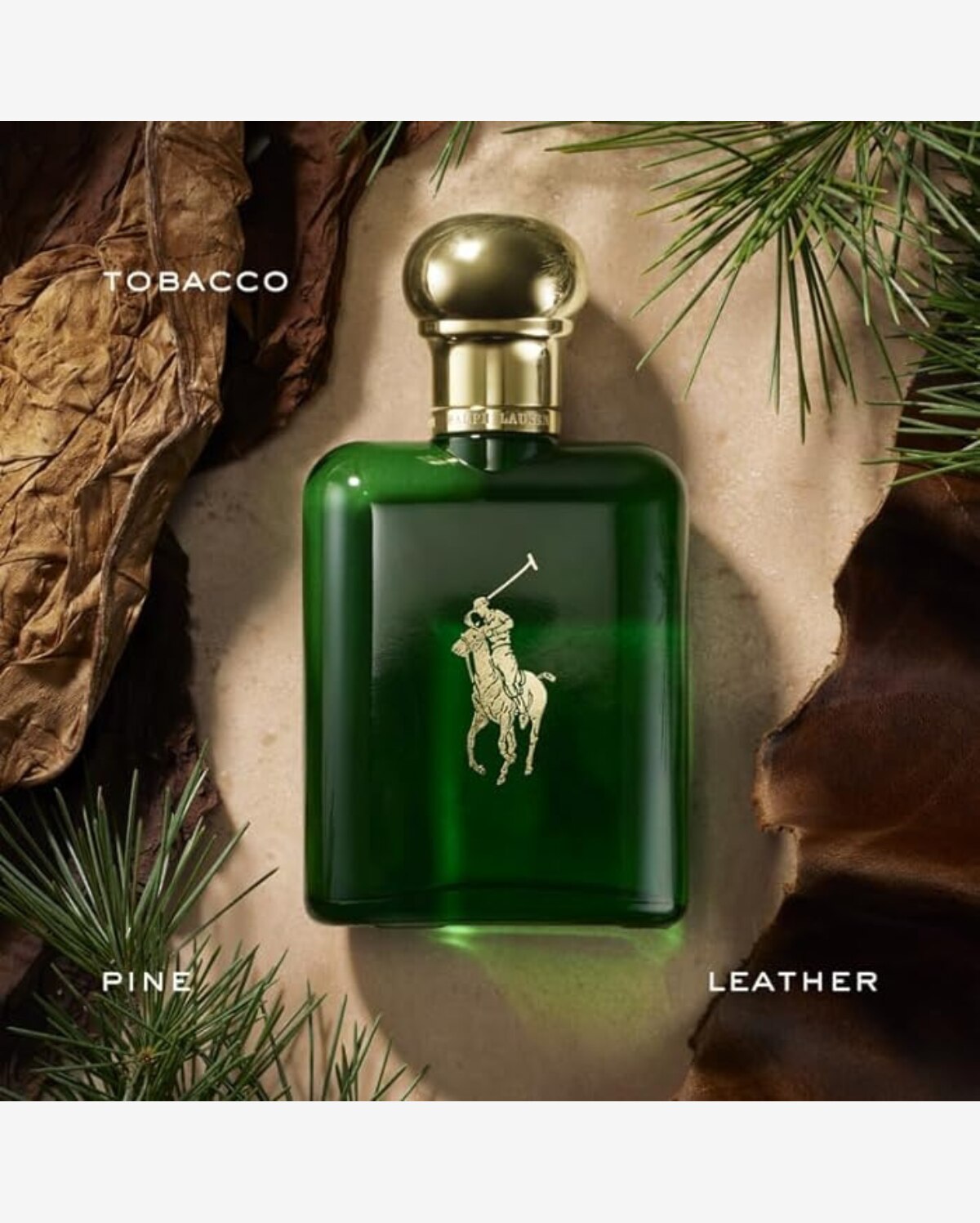 Riachuelo | Perfume Masculino Polo Green de Ralph Lauren Edt 200ml